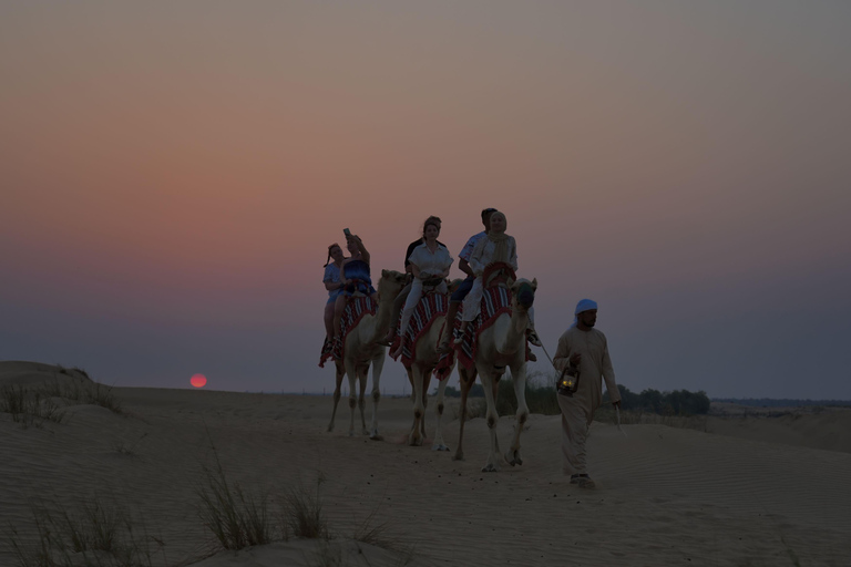 Dubai: Safari serale nel deserto con giro in cammello e osservazione delle stelleTour condiviso con vista sul tramonto