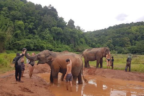 Chiang Mai: Doi Inthanon Park Vandring &amp; Elefanternas fristadChiang Mai: Doi Inthanon nationalpark &amp; elefanternas fristad