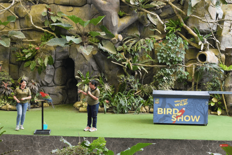 Cebu Safari: Experience Wildlife Up Close