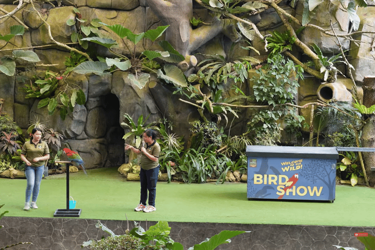 Cebu Safari: Experience Wildlife Up Close