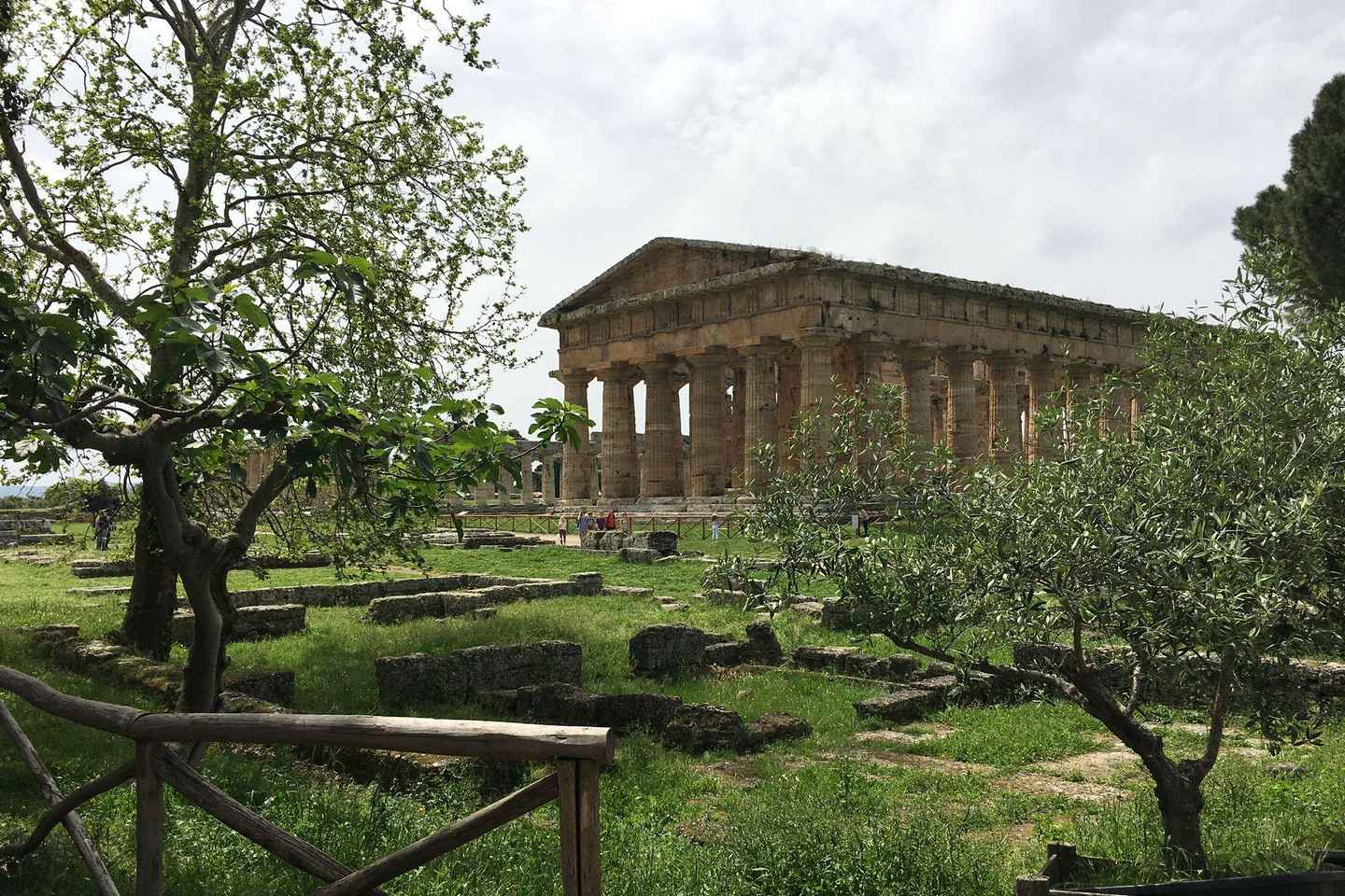 Exclusive Tour: Paestum Excavations and Cheese Factory Visit with Tasting and Lunch