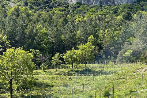 Gigondas & Châteauneuf-du-Pape: exceptional wine & terroir tasting