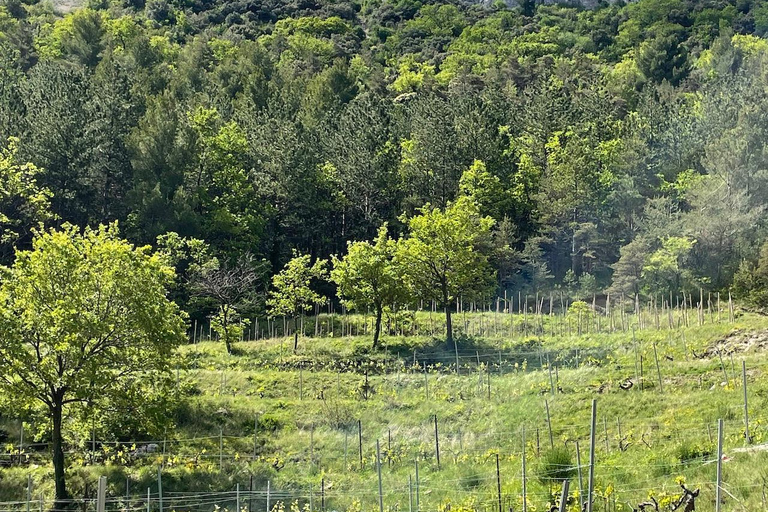Gigondas & Châteauneuf-du-Pape: exceptional wine & terroir tasting