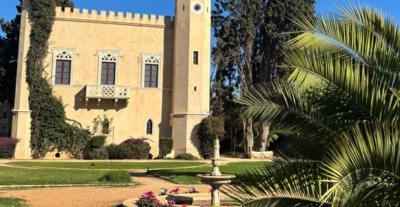 Athens: Athens Wine Tasting and Wine tour at a Castle