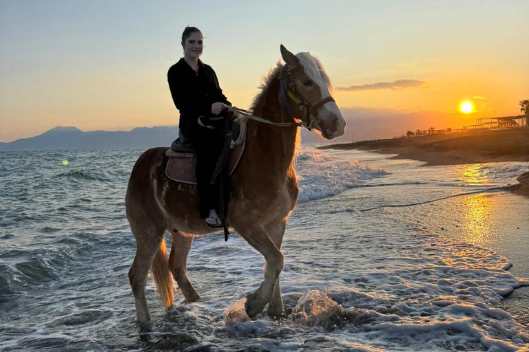 Antalya: Horseback Riding Tour with Hotel Pickup Transfer Excluded