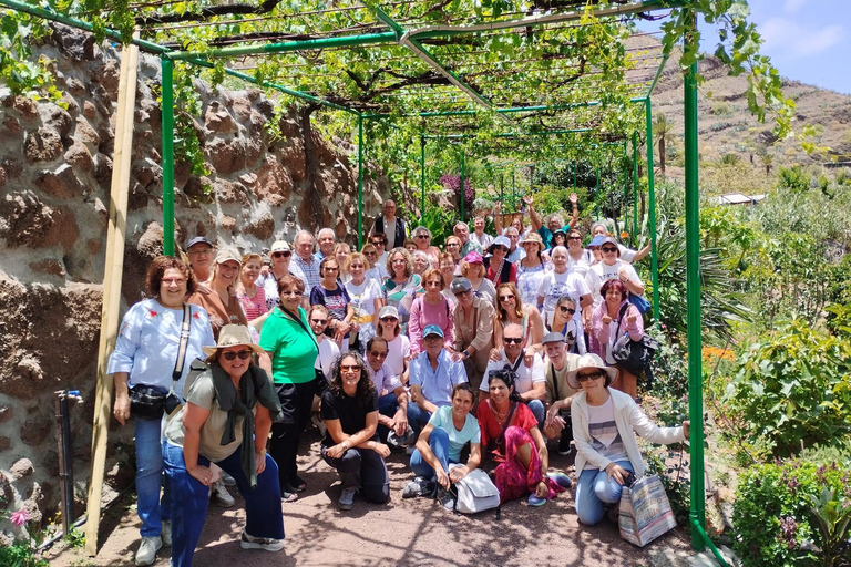 Finca Los Castaños: koffietour en proeverij in de Agaete-vallei