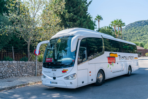 Majorque : visite av. trajet en bateau & train depuis le sud