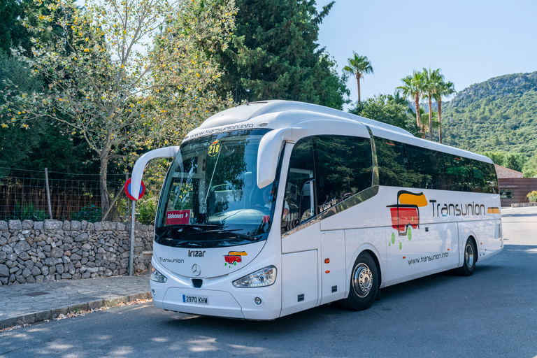 Mallorca: Örundtur med båt, spårvagn och tåg från söder