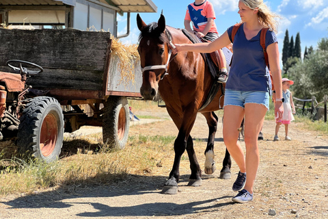 Horseback Riding with Wine Tour from Florence