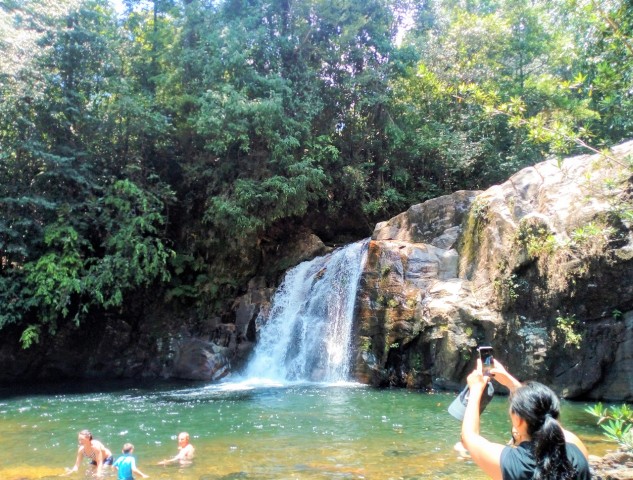 Visit Sinharaja Rainforest Private & Customize Tour in Ahungalla