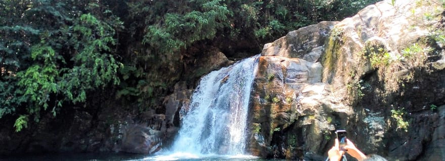 Visite privée et personnalisée de la forêt tropicale de Sinharaja