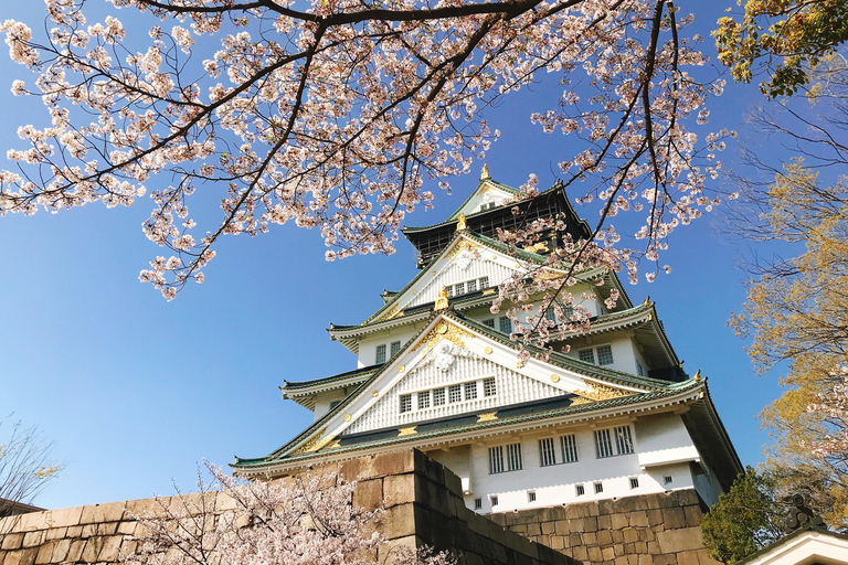 Osaka Classic Private Tour by Subway