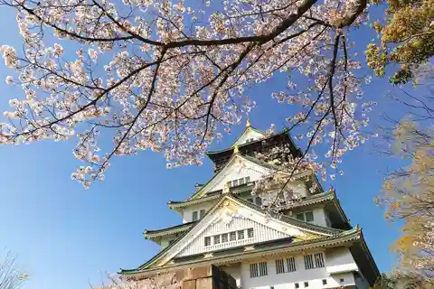 プライベートツアー：地元ガイドと大阪の魅力を発見しよう
