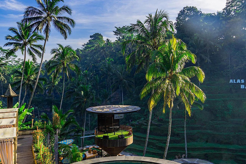 Ubud: tour privato del miglior Cretya Day Club di Ubud e delle cascateQuesta opzione non include i biglietti