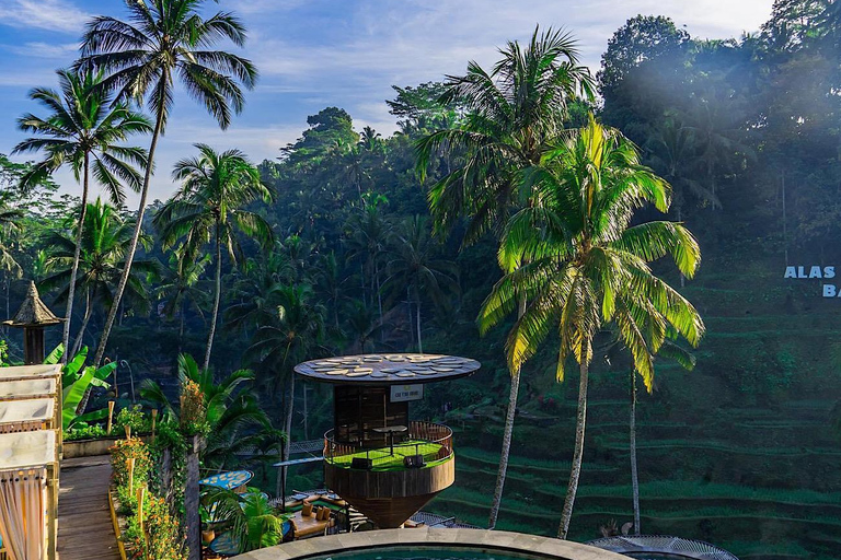 Ubud: tour privato del miglior Cretya Day Club di Ubud e delle cascateQuesta opzione non include i biglietti