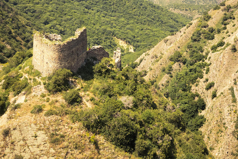 Mtskheta, Jvari, Samtavro & Zedazeni Tour