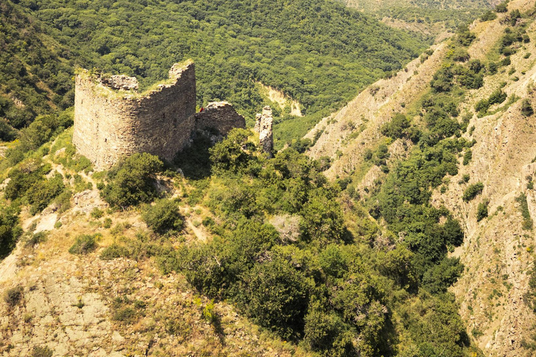 Mtskheta, Jvari, Samtavro & Zedazeni Tour