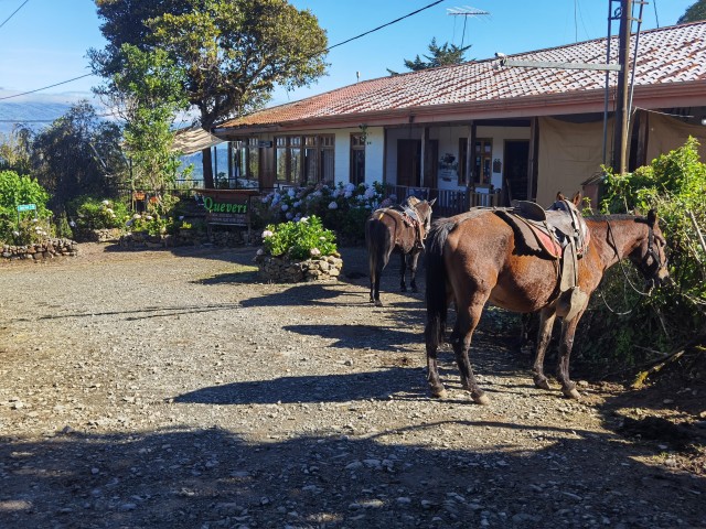 Visit Queveri Horseback riding in Santa Teresa