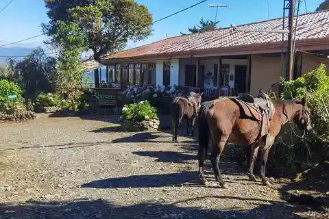 Queveri Ridning