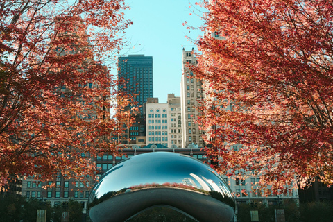 Chicago : visite guidée en minibus en petit groupeChicago : visite en minibus en petit groupe avec guide