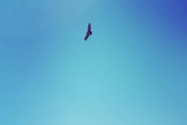 Santiago : Observation des condors à l&#039;Andes et au village d&#039;artisans
