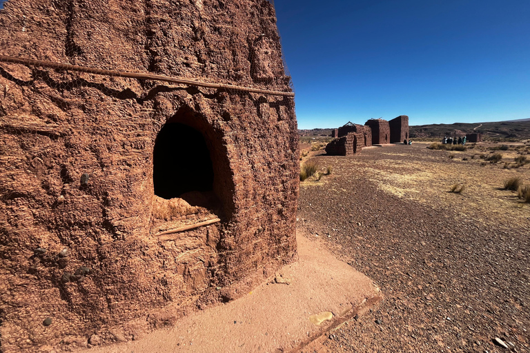 From La Paz: Tour guide-led tour of Sajama Park