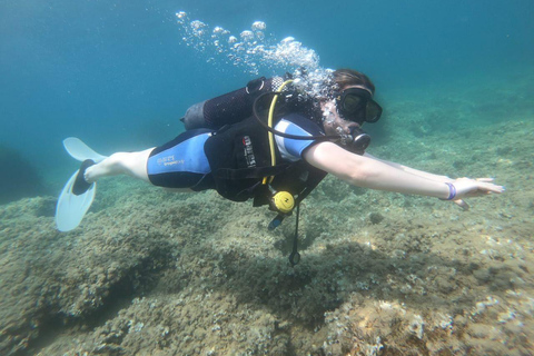 Hammamet: Guided Shore Dive for Beginners with Gear