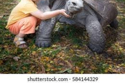 Zanzibar: Red Monkeys Forest Tour, Butterfly & Reptile Park. This option, No Hotel Pickup.