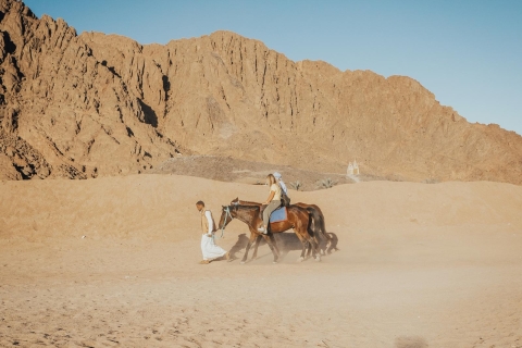 Sharm: Wüstenabenteuer ATV, Buggy, Pferderitt & KamelrittSharm: Buggy, Pferderitt & Kamelritt Wüstenabenteuer