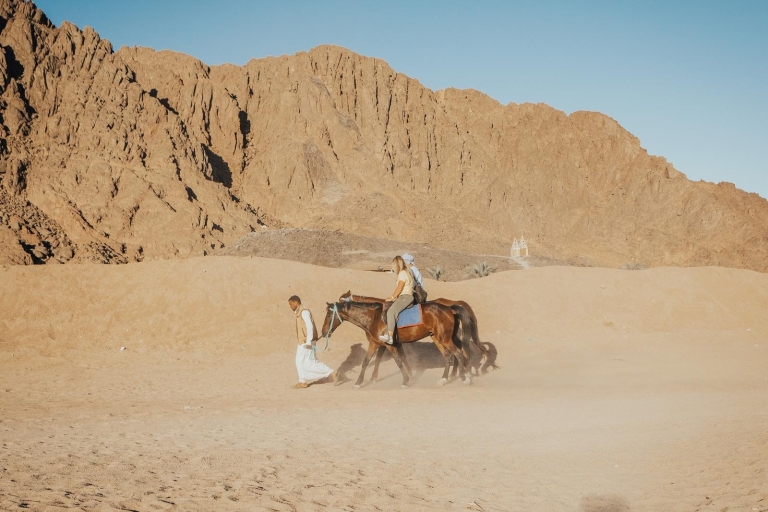Sharm : Safari en VTT, balade à cheval et promenade à dos de chameau avec petit-déjeuner.Sharm : Aventure dans le désert en VTT, balade à cheval et à dos de chameau