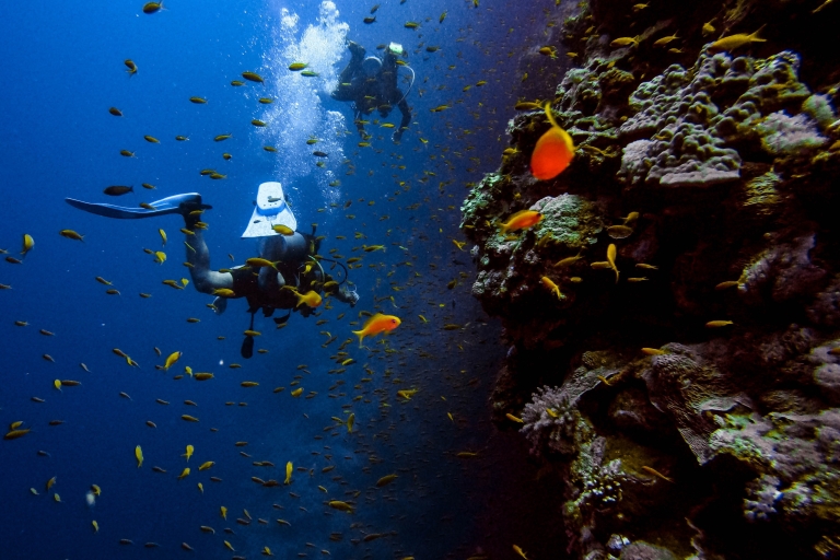 DSD Discover Scuba Diving voor een beginner of gecertificeerd