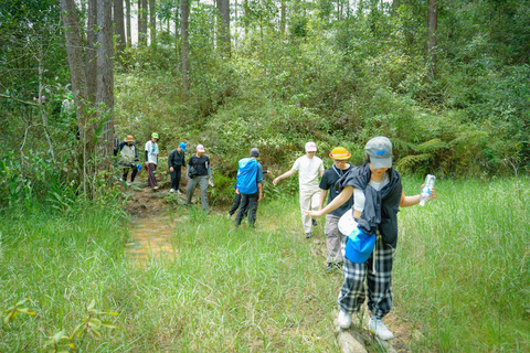 Da Lat: Langbiang Mountain Guided Trek with Lunch & Pickup