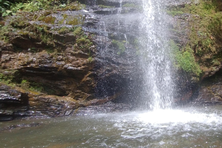 Cali: Pance River Waterfall Trip Private Tour