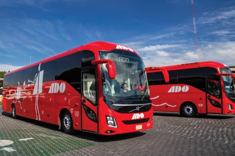 Cancun: Airport Transfer to/from Downtown by Bus Single Bus Ticket from Cancun Airport to Downtown Cancun
