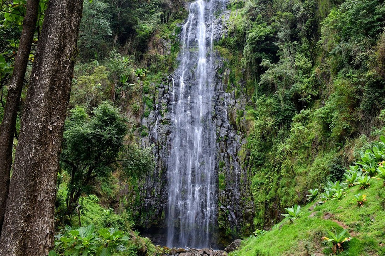 Cascada Materuni