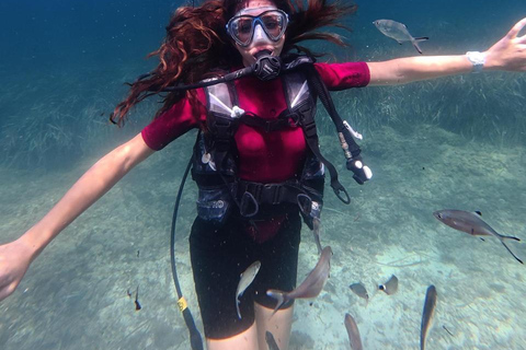 Mahdia: Guided Medina Tour and Scuba Diving Experience