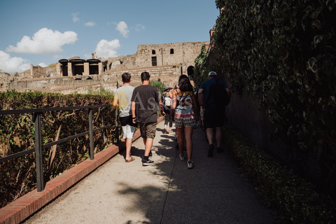 Pompeji & Herculaneum Landausflug mit Archäologe