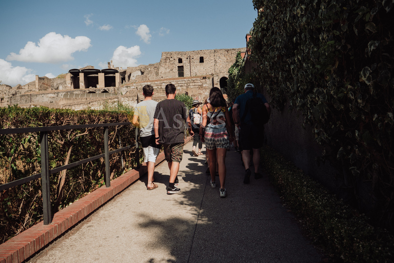 Excursion sur la côte de Pompéi et d'Herculanum avec un archéologue