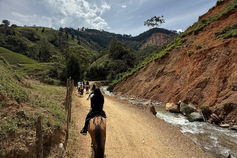 麦德林：山区骑马之旅