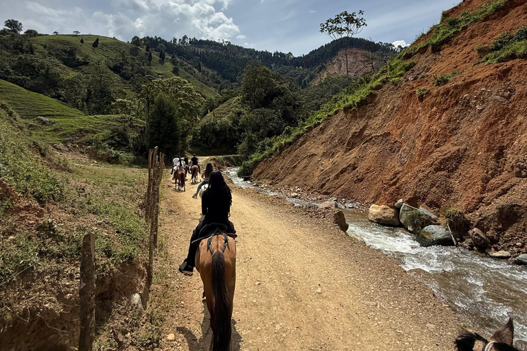 Medellín: Paseo a Caballo por las Montañas de la ciudad.