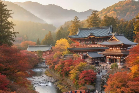 From Tokyo: Nikko World Heritage Sight Full Day Private Tour