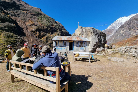 Kathmandu: 8-tägiger Langtang Valley Trek mit Transfers