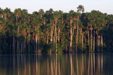 Reserva Nacional de Tambopata 4 Días