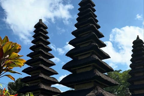Bali: Sangeh Monkey Forest, Taman Ayun & Coffee Tour
