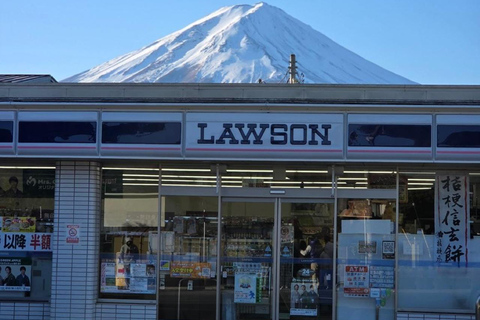 From Tokyo: Mt. Fuji & Hakone Private Scenic Day Tour
