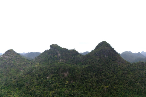 Half Day Hiking to Cat Ba National Park with a Guide