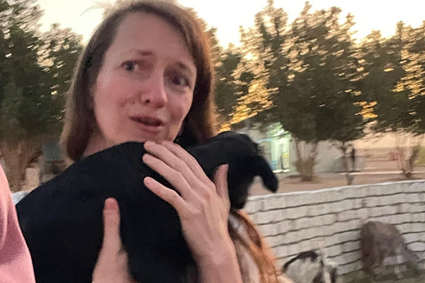 Hurghada: Hiking , dinner & stargazing Advanced hiking tour & camel ride