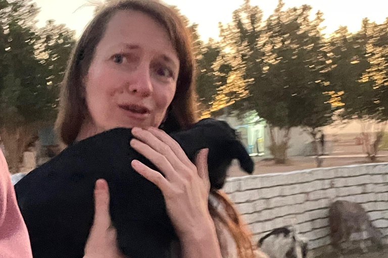 Hurghada: Hiking , dinner & stargazing Advanced hiking tour & camel ride