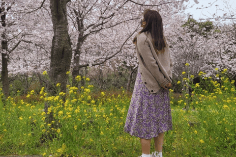 Earlybird Cherry Blossom : Jeju's South & West full day Tour