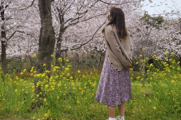 Jeju&#039;s Cherry Blossom South&amp;West jednodniowa wycieczka z odbiorem z hotelu